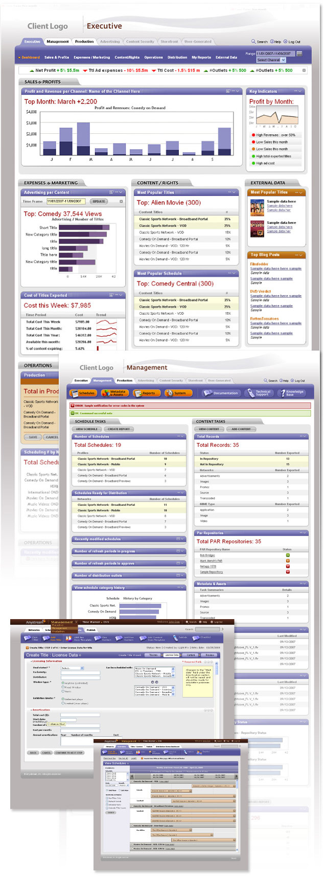 Executive dashboard design