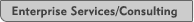Enterprise Solutions/Consulting
