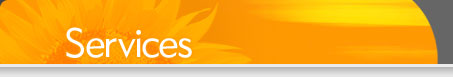 Web design, graphic design, multimedia, development services