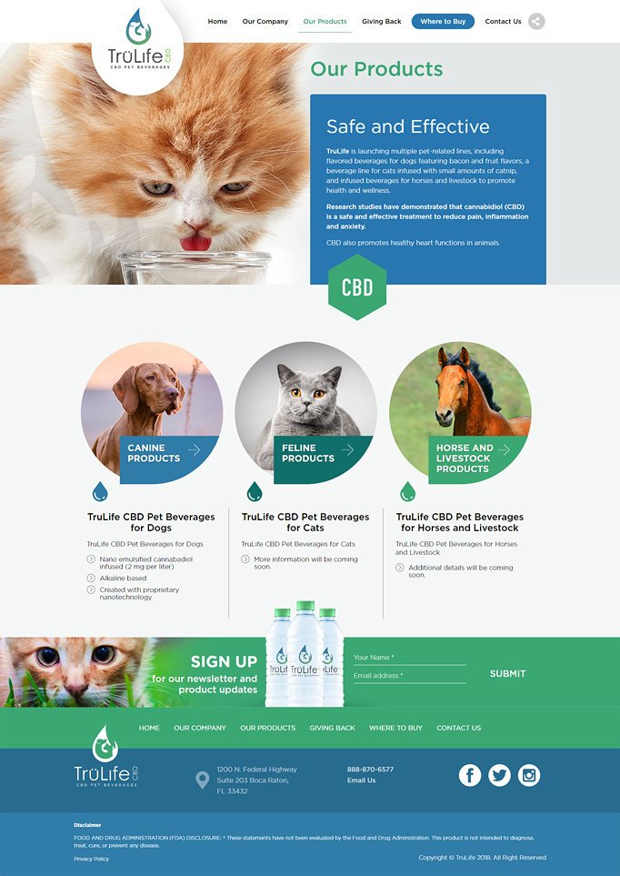 pet products web design