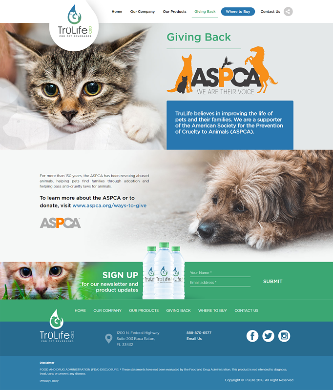 website design for pet products