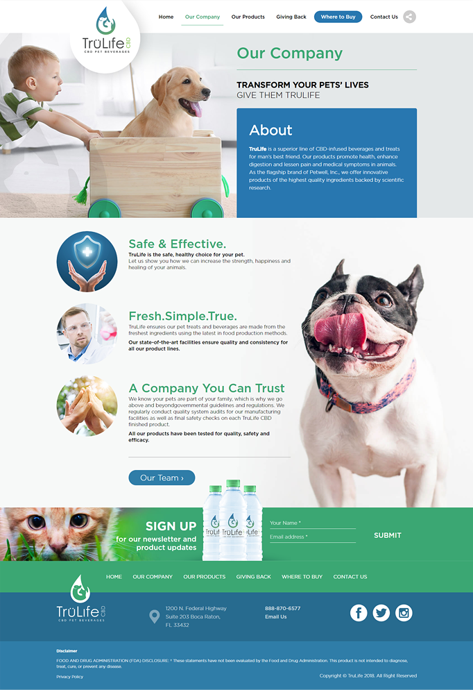 pet CBD web design