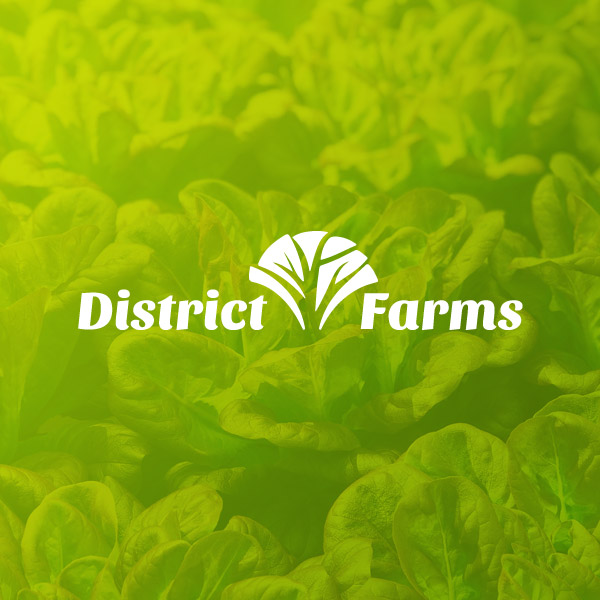 Washington DC, Fairfax Farms website design