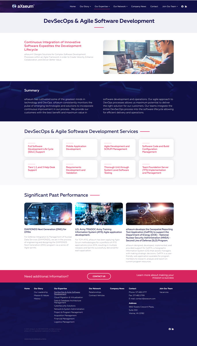 Government IT consulting website design