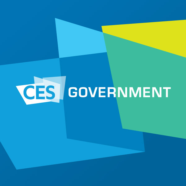 CES Government