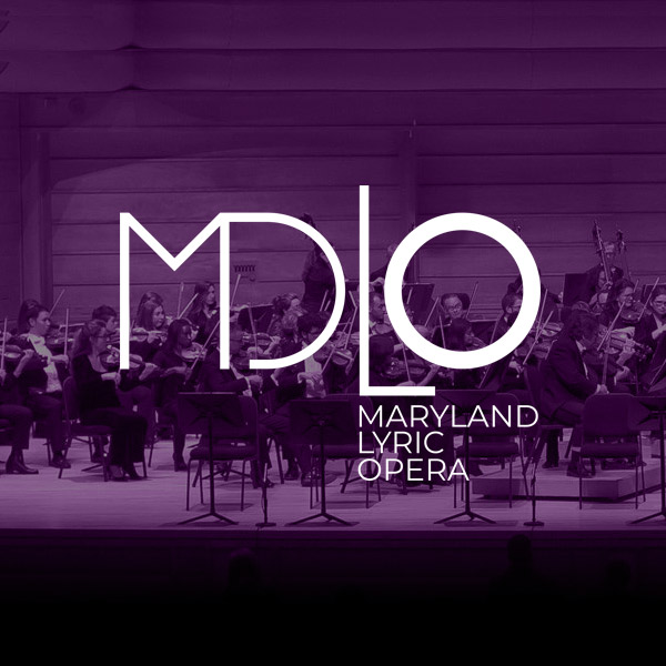 Maryland performance company website design